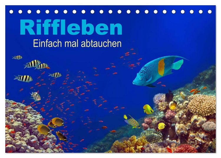 Produktbild: Riffleben - Einfach mal abtauchen (Tischkalender 2026 DIN A5 quer), CALVENDO Monatskalender