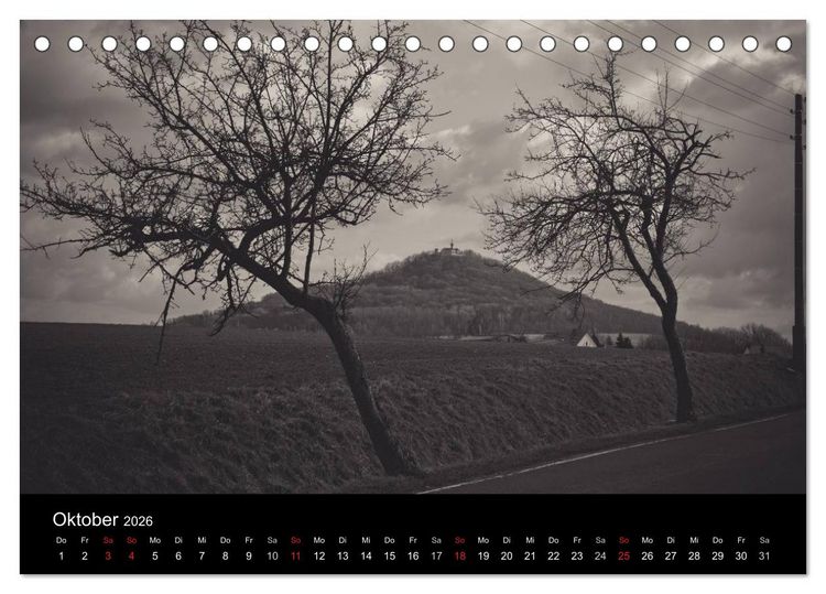 Produktbild: B&auml;ume trees 2026 (Tischkalender 2026 DIN A5 quer), CALVENDO Monatskalender