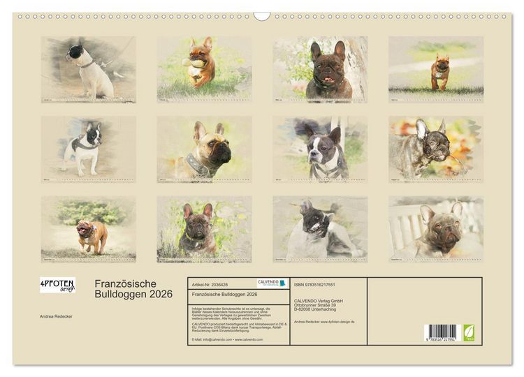 Produktbild: Franz&ouml;sische Bulldoggen 2026 (Wandkalender 2026 DIN A2 quer), CALVENDO Monatskalender