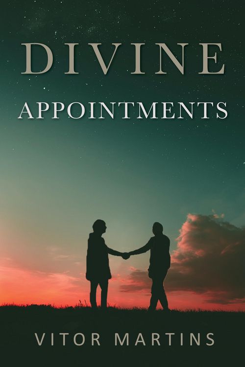 Produktbild: Divine Appointments