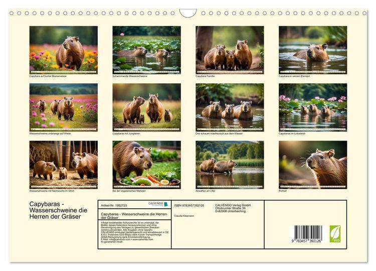 Produktbild: Capybaras - Wasserschweine die Herren der Gr&auml;ser (Wandkalender 2026 DIN A3 quer), CALVENDO Monatskalender