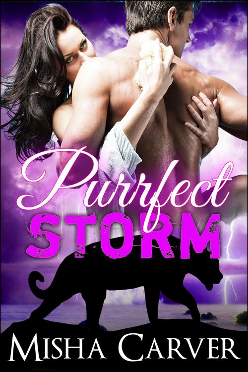Produktbild: Purrfect Storm (Purrfect Mates, #2)