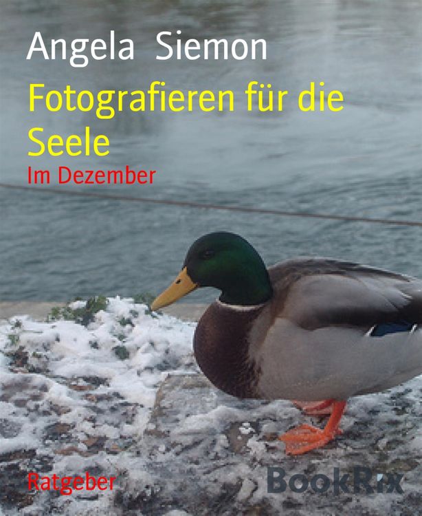 Produktbild: Fotografieren f&uuml;r die Seele