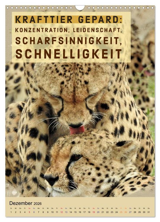Produktbild: Afrikanische Krafttiere und deren Bedeutung (Wandkalender 2026 DIN A3 hoch), CALVENDO Monatskalender