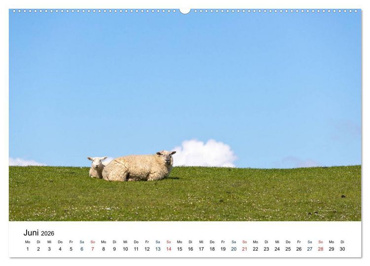 Produktbild: Unterwegs in Nordfriesland (hochwertiger Premium Wandkalender 2026 DIN A2 quer), Kunstdruck in Hochglanz