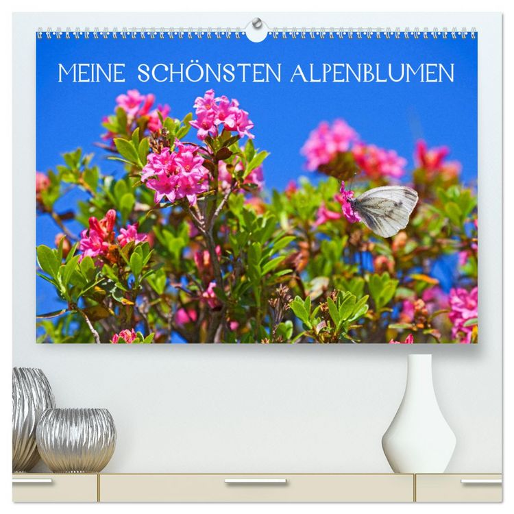 Produktbild: Meine sch&ouml;nsten Alpenblumen (hochwertiger Premium Wandkalender 2026 DIN A2 quer), Kunstdruck in Hochglanz