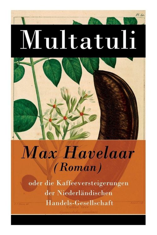 Produktbild: Max Havelaar (Roman)