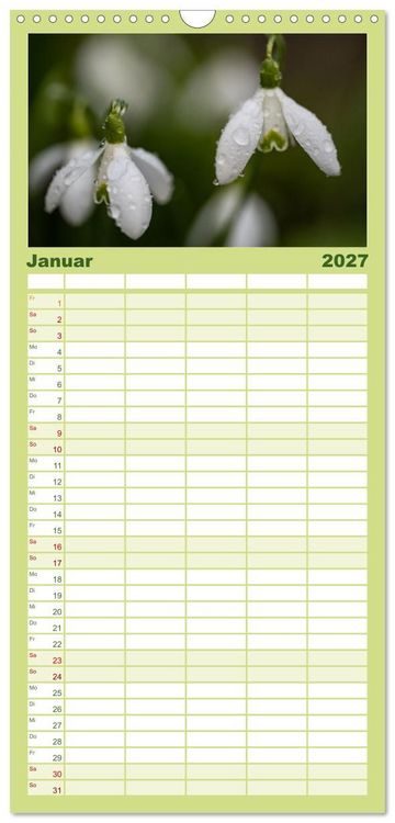 Produktbild: Familienplaner 2027 - Fr&uuml;hlingsbl&uuml;her - Farbenpracht nach dem Winter mit 5 Spalten (Wandkalender, 21 x 45 cm) CALVENDO