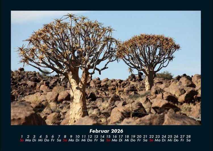Produktbild: B&auml;ume 2026 Fotokalender DIN A4