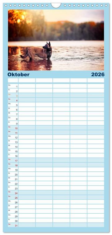 Produktbild: Familienplaner 2026 - H&uuml;tehunde - H&uuml;ter der Herzen mit 5 Spalten (Wandkalender, 21 x 45 cm) CALVENDO