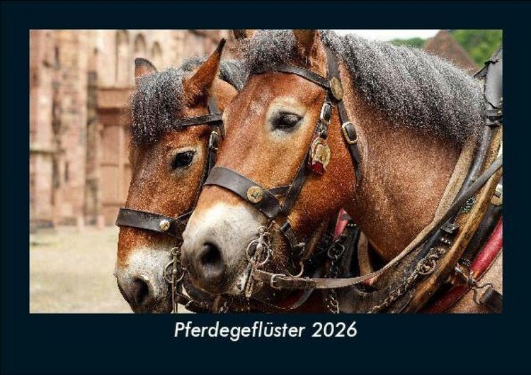 Produktbild: Pferdegefl&uuml;ster 2026 Fotokalender DIN A5