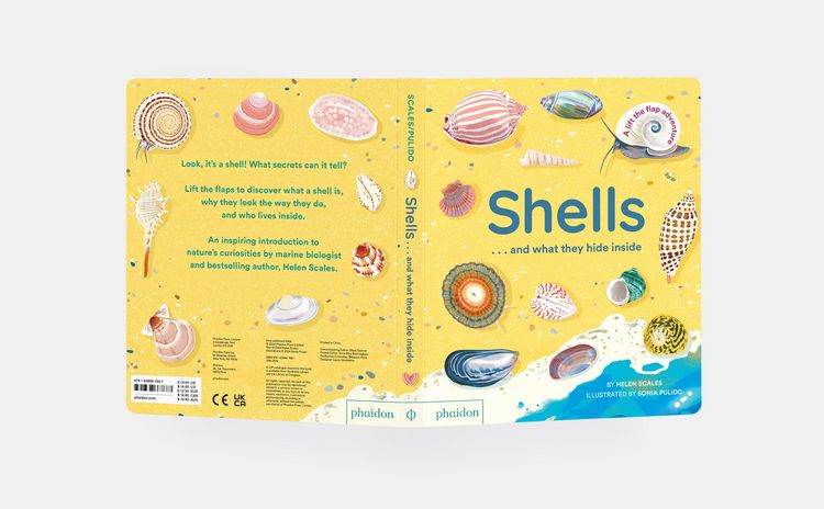 Produktbild: Shells... and what they hide inside