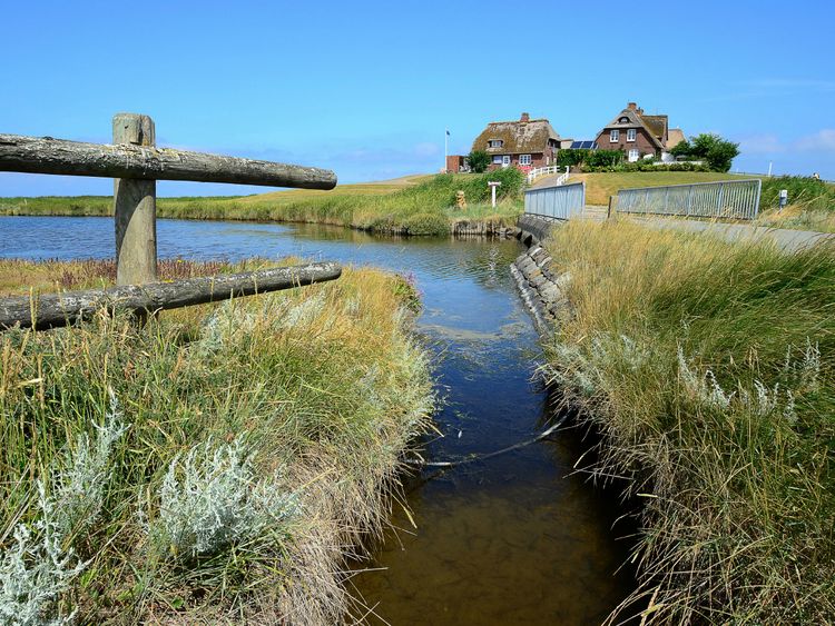 Produktbild: CALVENDO Puzzle Hallig Hooge 1000 Teile Lege-Gr&ouml;&szlig;e 64 x 48 cm Foto-Puzzle Bild von Sarnade