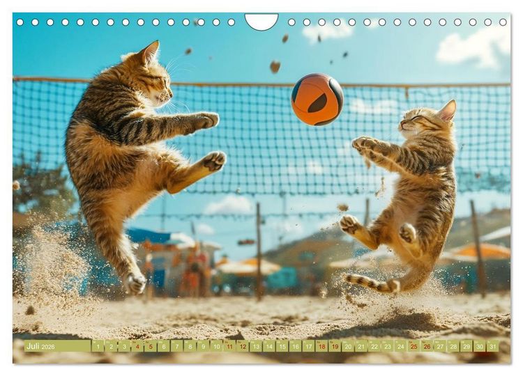 Produktbild: Lustige Sportarten f&uuml;r Katzen (Wandkalender 2026 DIN A4 quer), CALVENDO Monatskalender