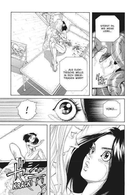 Produktbild: Battle Angel Alita - Perfect Edition 4