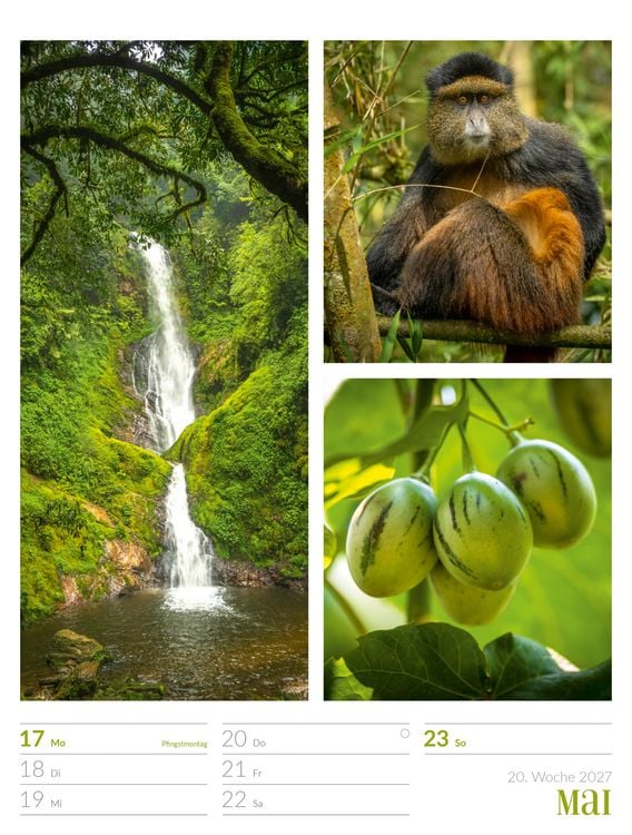 Produktbild: Farben der Natur Wochenplaner Kalender 2027