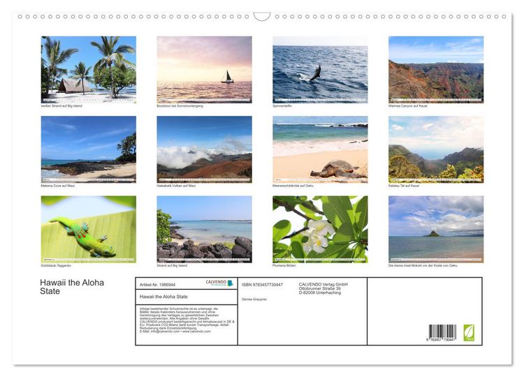 Produktbild: Hawaii the Aloha State (Wandkalender 2026 DIN A2 quer), CALVENDO Monatskalender