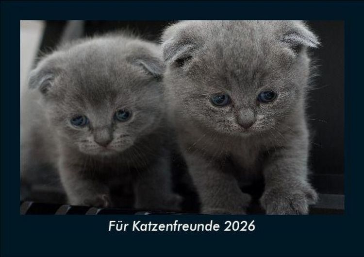 Produktbild: F&uuml;r Katzenfreunde 2026 Fotokalender DIN A5