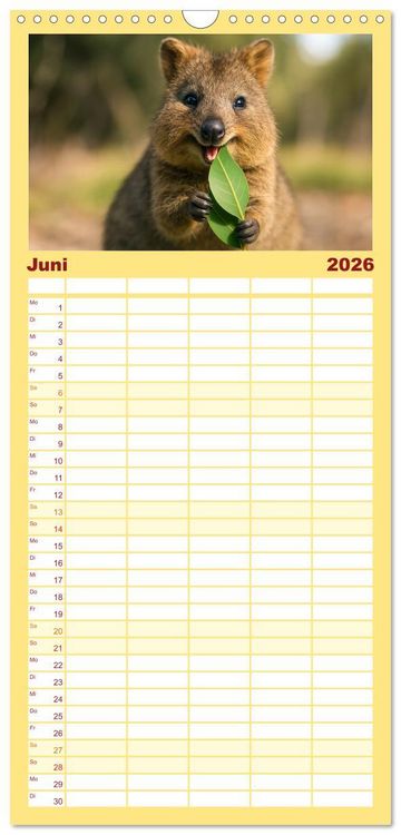 Produktbild: Familienplaner 2026 - Die vielleicht nettesten Wildtiere mit 5 Spalten (Wandkalender, 21 x 45 cm) CALVENDO