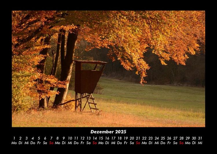 Produktbild: Waldzauber 2025 Fotokalender DIN A3