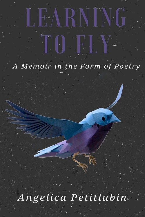 Produktbild: Learning to Fly