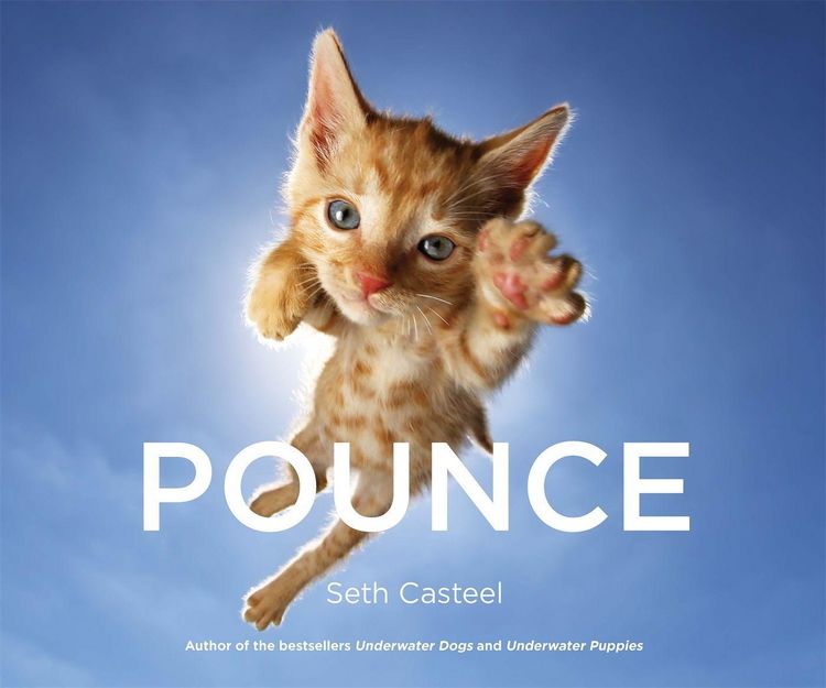 Produktbild: Casteel, S: Pounce