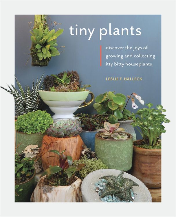 Produktbild: Halleck, L: Tiny Plants