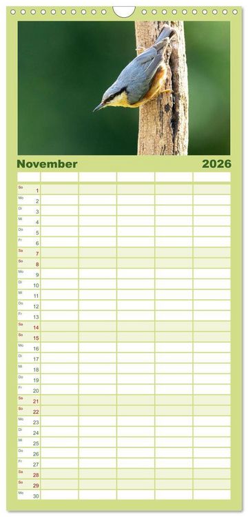 Produktbild: Familienplaner 2026 - Fantastische Vogelwelt Slowenien mit 5 Spalten (Wandkalender, 21 x 45 cm) CALVENDO