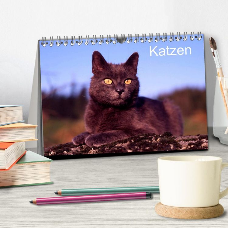 Produktbild: Katzen (Tischkalender 2026 DIN A5 quer), CALVENDO Monatskalender