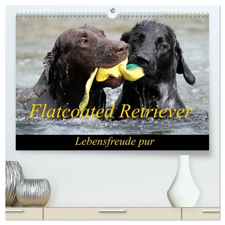 Produktbild: Flatcoated Retriever (hochwertiger Premium Wandkalender 2026 DIN A2 quer), Kunstdruck in Hochglanz
