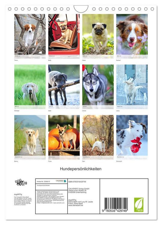 Produktbild: Hundepers&ouml;nlichkeiten (Wandkalender 2026 DIN A4 hoch), CALVENDO Monatskalender