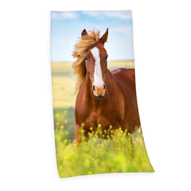 Produktbild: Young Collection 6124206516 - Pferd Velourstuch, 75x150 cm, 100% Baumwolle