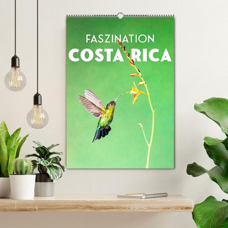 Produktbild: Faszination Costa Rica (Wandkalender 2026 DIN A2 hoch), CALVENDO Monatskalender