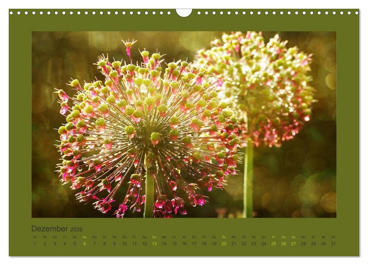 Produktbild: 12 Farben (Wandkalender 2026 DIN A3 quer), CALVENDO Monatskalender