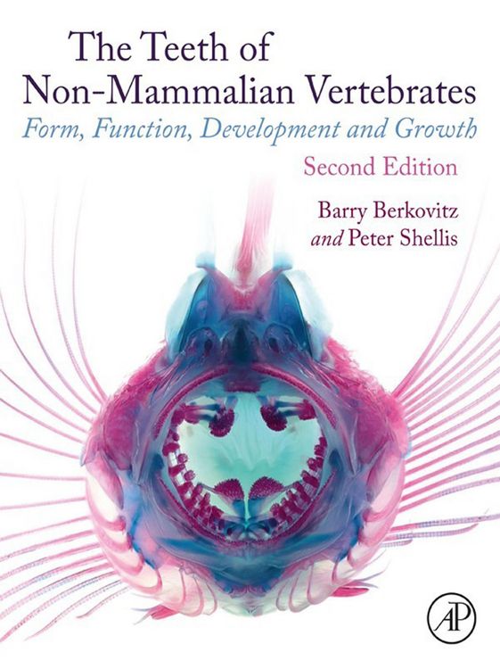 Produktbild: The Teeth of Non-mammalian Vertebrates