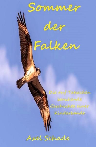 Produktbild: Sommer der Falken