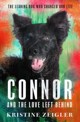 Produktbild: Connor and The Love Left Behind
