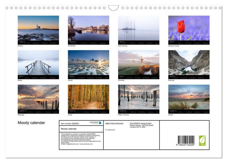 Produktbild: Moody calendar (Wall Calendar 2026 DIN A3 landscape), CALVENDO 12 Month Wall Calendar