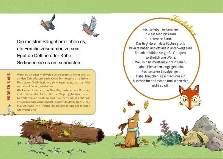 Produktbild: Tierkinder im Wald