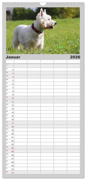 Produktbild: Familienplaner 2026 - West Highland White Terrier - Selbstbewustes Powerpaket - der Westie mit 5 Spalten (Wandkalender, 21 x 45 cm) CALVENDO