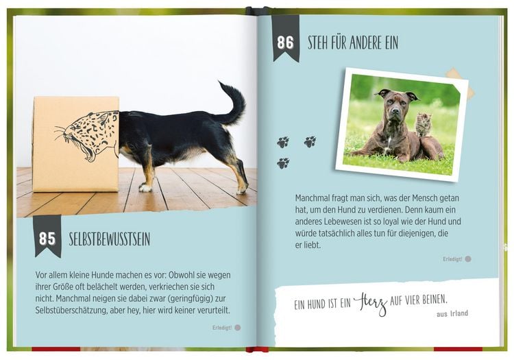 Produktbild: 100 Dinge, die man von einem Hund lernen kann