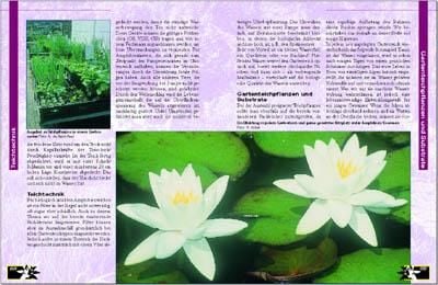 Produktbild: Amphibien am Gartenteich