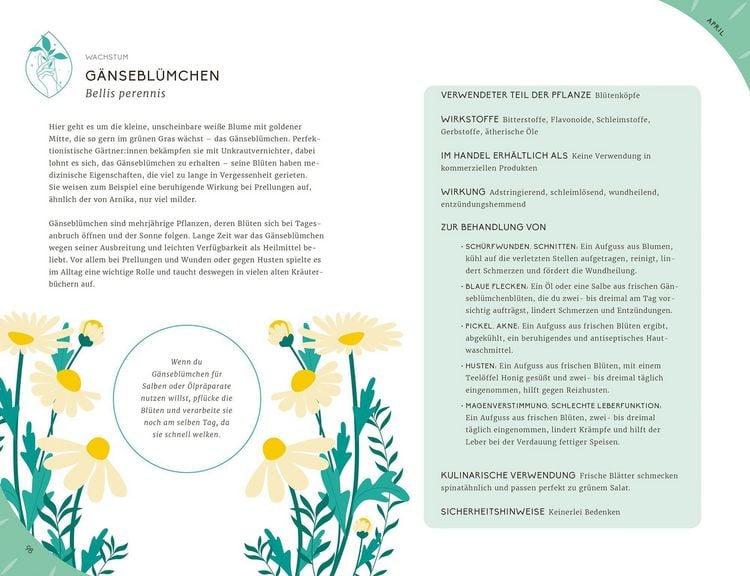 Produktbild: Mein Jahr mit der Natur