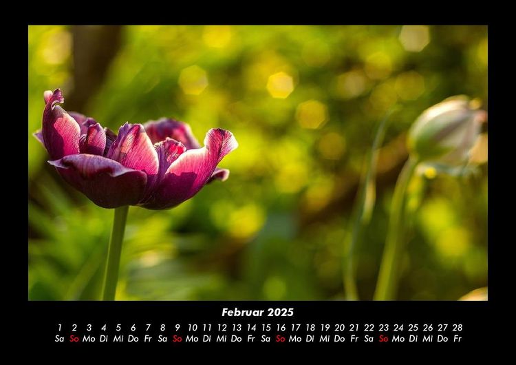 Produktbild: Naturlandschaften 2025 Fotokalender DIN A3