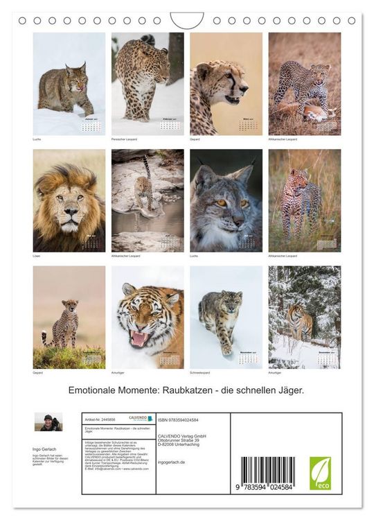 Produktbild: Emotionale Momente: Raubkatzen - die schnellen J&auml;ger. (Wandkalender 2027 DIN A4 hoch), CALVENDO Monatskalender