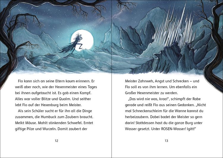 Produktbild: Der Zaubersch&uuml;ler (Band 1) - Fluch des Hexenmeisters