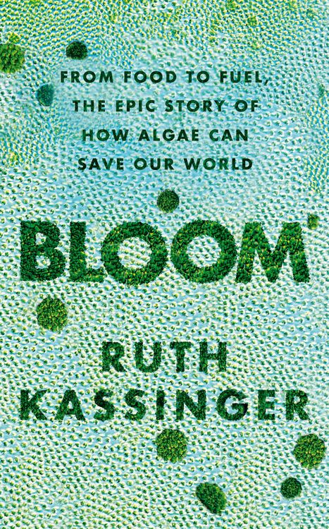 Produktbild: Bloom