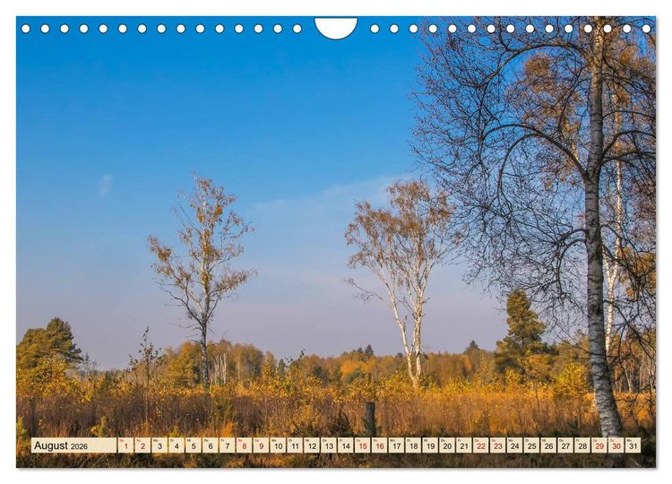 Produktbild: Herbst im Schwenninger Moos (Wandkalender 2026 DIN A4 quer), CALVENDO Monatskalender