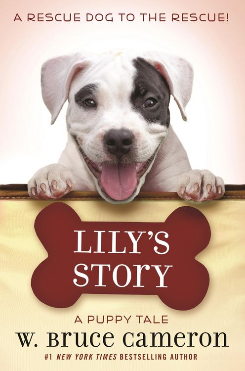 Produktbild: Lily's Story