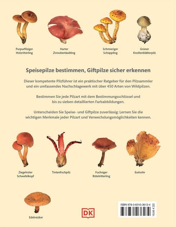 Produktbild: Pilze